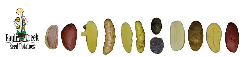 spudcutbann